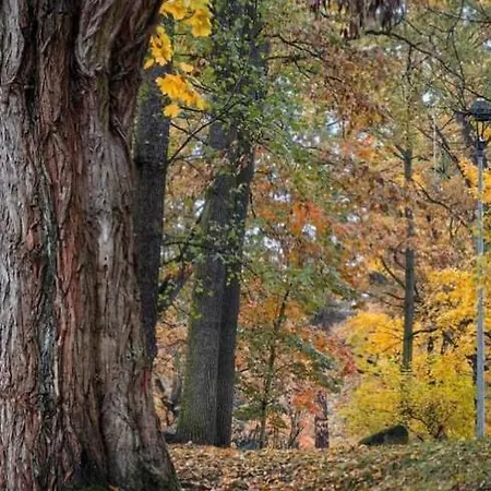 Royal Place 2 Bedrooms Wilanow アパート