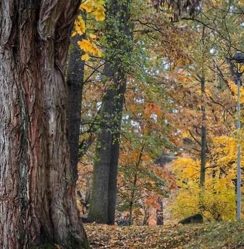 Royal Place 2 Bedrooms Wilanow Lejlighed