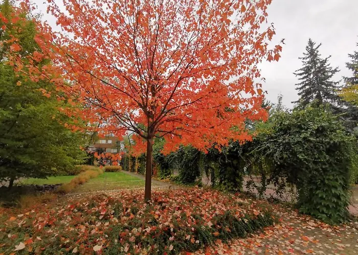 Lejlighed Royal Place 2 Bedrooms Wilanow