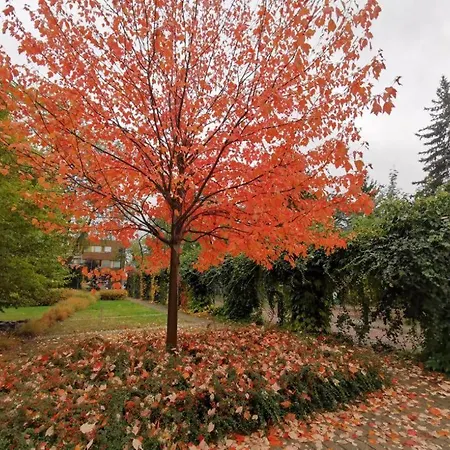 아파트 Royal Place 2 Bedrooms Wilanow