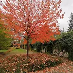 公寓 Royal Place 2 Bedrooms Wilanow